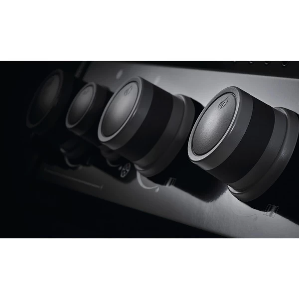 Napoleon Gasgrill Rogue XT 425 – Bild 4