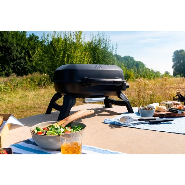 Napoleon Gasgrill TRAVELQ 240 – Bild 14