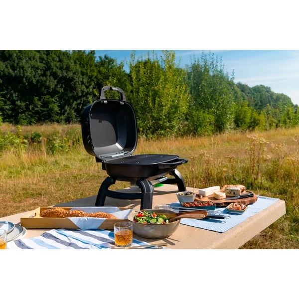 Napoleon Gasgrill TRAVELQ 240 – Bild 17