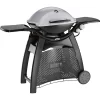 Weber Q3000 Titan, Gasgrill