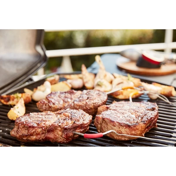 Weber IGrill Pro Messfühler Für Grillgut, Thermometer – Bild 14