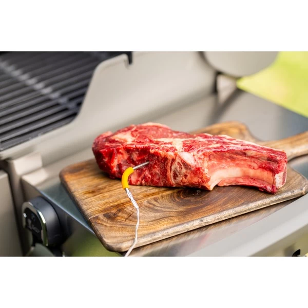 Weber IGrill Pro Messfühler Für Grillgut, Thermometer – Bild 9